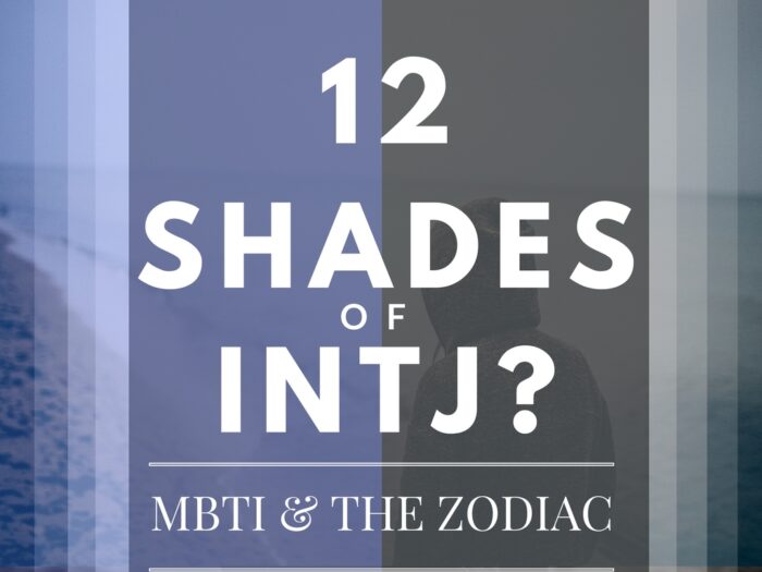 12 Shades Of Intj Mbti The Zodiac