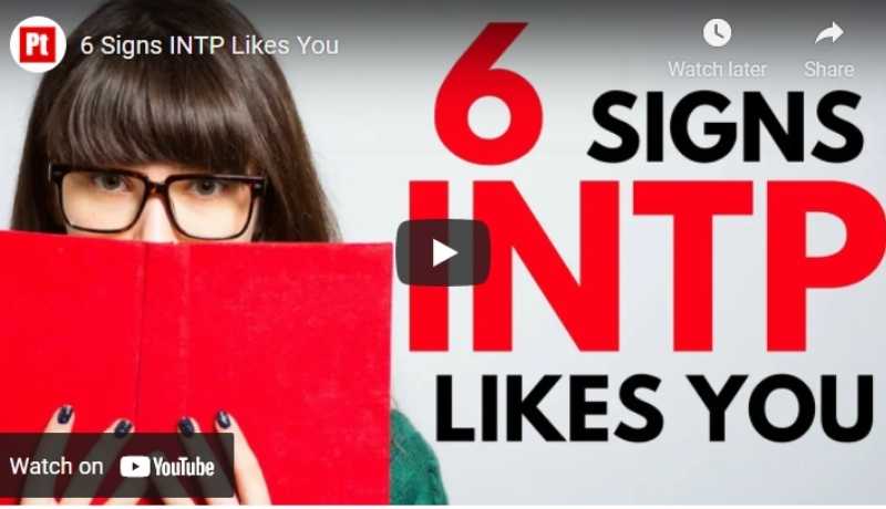 intp likes you signs