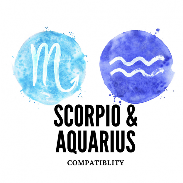 Scorpio and aquarius