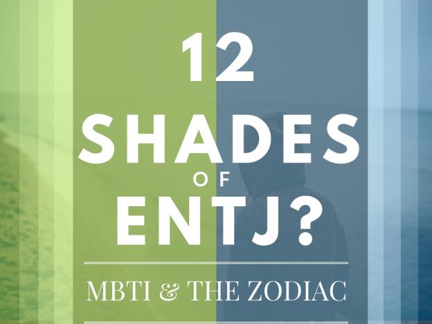 12 shades of entj