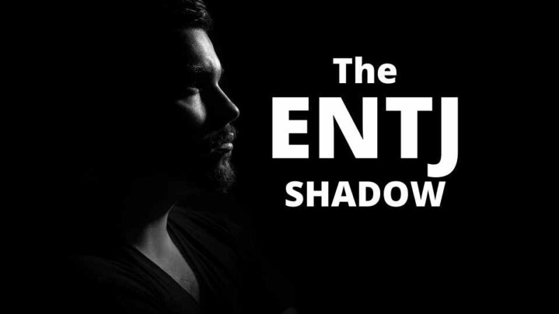 Entj Shadow The Dark Side Of Entj